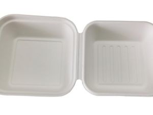 6-6 hamberg bagasse container_4