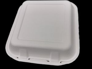 8-8 hamber bagasse container